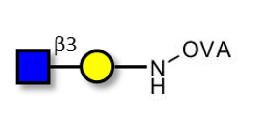 GlcNAcβ1-3Gal grafted on OVA