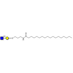 GlcNAcβ1-3Gal with stearic chain (Linker-STEA A)