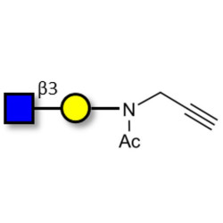 GlcNAcβ1-3Gal with terminal alkyne (Linker-CΞCH A)