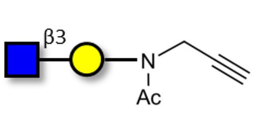 GlcNAcβ1-3Gal with terminal alkyne (Linker-CΞCH A)