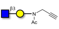 GlcNAcβ1-3Gal with terminal...