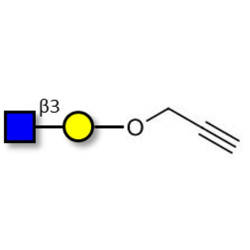 GlcNAcβ1-3Gal with terminal alkyne (Linker-CΞCH B)