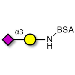 GM4 Ganglioside oligosaccharide grafted on BSA