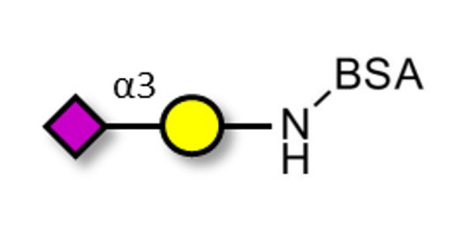 GM4 Ganglioside oligosaccharide grafted on BSA - 3-Sialylgalactose