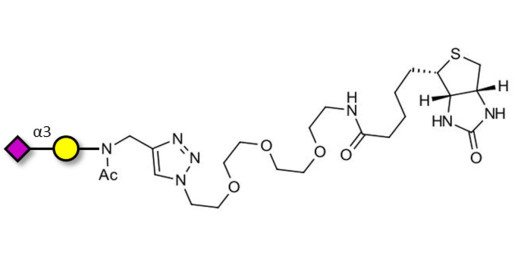 GM4 Ganglioside oligosaccharide linked to biotin (Linker-BT A) - GLY157-Nac-sp3-Bt