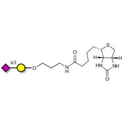 GM4 Ganglioside oligosaccharide linked to biotin (Linker-BT B)