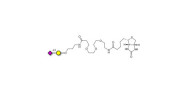 GM4 Ganglioside...