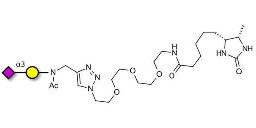 GM4 Ganglioside oligosaccharide linked to desthiobiotin (Linker-DBT-A) - 3-Sialylgalactose