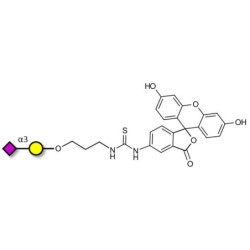 GM4 Ganglioside oligosaccharide linked to fluorescein (Linker-FLUO A)
