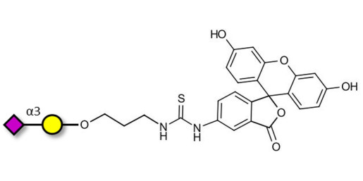 GM4 Ganglioside oligosaccharide linked to fluorescein (Linker-FLUO A) - 3-Sialylgalactose