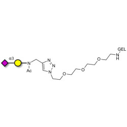 GM4 Ganglioside oligosaccharide grafted on gel for affinity chromatography (Linker-GEL A)
