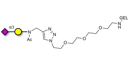 GM4 Ganglioside oligosaccharide grafted on gel for affinity chromatography (Linker-GEL A) - 3-Sialylgalactose