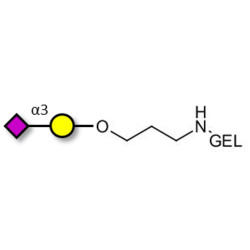 GM4 Ganglioside oligosaccharide grafted on gel for affinity chromatography (Linker-GEL B)