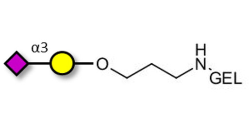 GM4 Ganglioside oligosaccharide grafted on gel for affinity chromatography (Linker-GEL B) - 3-Sialylgalactose