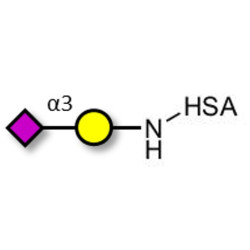 GM4 Ganglioside oligosaccharide grafted on HSA