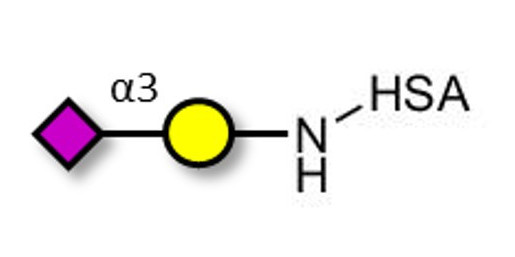 GM4 Ganglioside oligosaccharide grafted on HSA - 3-Sialylgalactose