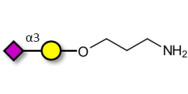 GM4 Ganglioside...