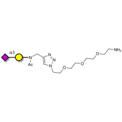 GM4 Ganglioside oligosaccharide with free terminal amine (Linker-NH2 B)