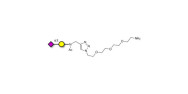 GM4 Ganglioside...