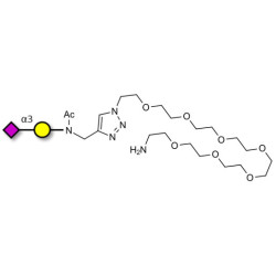 GM4 Ganglioside oligosaccharide with free terminal amine (Linker-NH2 C)