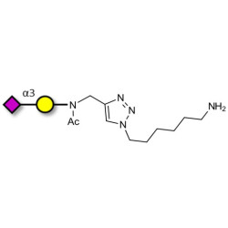 GM4 Ganglioside oligosaccharide with free terminal amine (Linker-NH2 D)