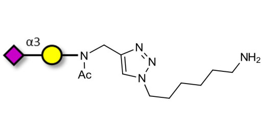 GM4 Ganglioside oligosaccharide with free terminal amine (Linker-NH2 D) - 3-Sialylgalactose