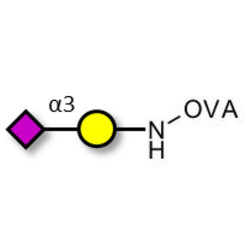 GM4 Ganglioside oligosaccharide grafted on OVA