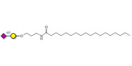 GM4 Ganglioside...