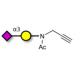 GM4 Ganglioside oligosaccharide with terminal alkyne (Linker-CΞCH A)