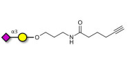 GM4 Ganglioside...