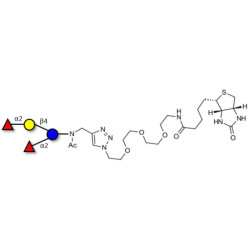 2',2-Difucosyllactose linked to biotin (Linker-BT A)