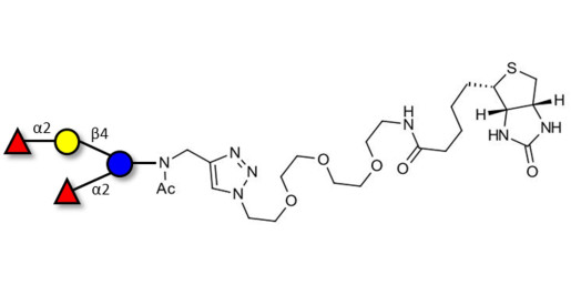 2',2-Difucosyllactose linked to biotin (Linker-BT A) - 2',2-DFL