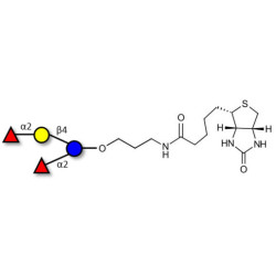 2',2-Difucosyllactose linked to biotin (Linker-BT B)