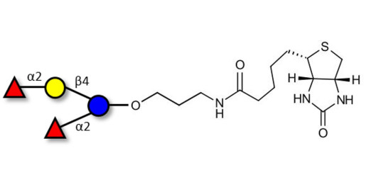 2',2-Difucosyllactose linked to biotin (Linker-BT B) - 2',2-DFL