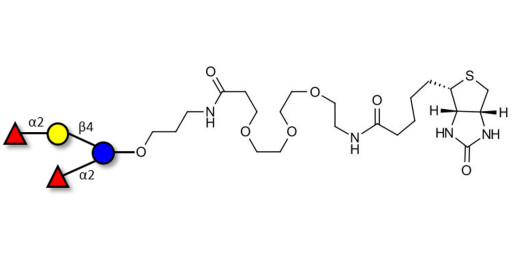 2',2-Difucosyllactose linked to biotin (Linker-BT C) - 2',2-DFL