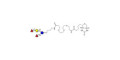 2',2-Difucosyllactose linked to biotin (Linker-BT C) - 2',2-DFL