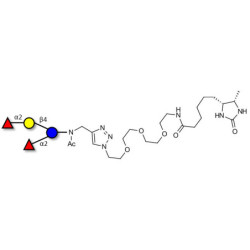 2',2-Difucosyllactose linked to desthiobiotin (Linker-DBT-A)