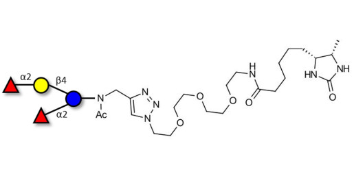 2',2-Difucosyllactose linked to desthiobiotin (Linker-DBT-A) - 2',2-DFL