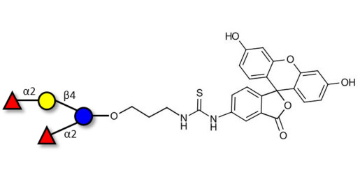 2',2-Difucosyllactose linked to fluorescein (Linker-FLUO A) - 2',2-DFL
