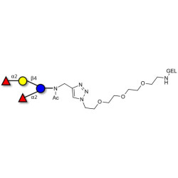 2',2-Difucosyllactose grafted on gel for affinity chromatography (Linker-GEL A)