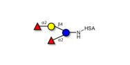 2',2-Difucosyllactose...