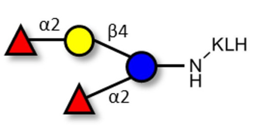 2',2-Difucosyllactose grafted on KLH - 2',2-DFL