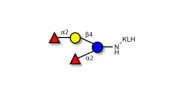 2',2-Difucosyllactose...