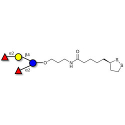 2',2-Difucosyllactose with cyclic di-thiol (Linker-LIPO A)