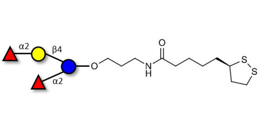 2',2-Difucosyllactose with cyclic di-thiol (Linker-LIPO A) - 2',2-DFL