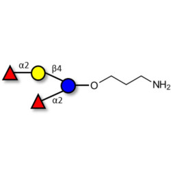 2',2-Difucosyllactose with free terminal amine (Linker-NH2 A)