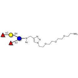2',2-Difucosyllactose with free terminal amine (Linker-NH2 B)