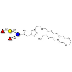 2',2-Difucosyllactose with free terminal amine (Linker-NH2 C)