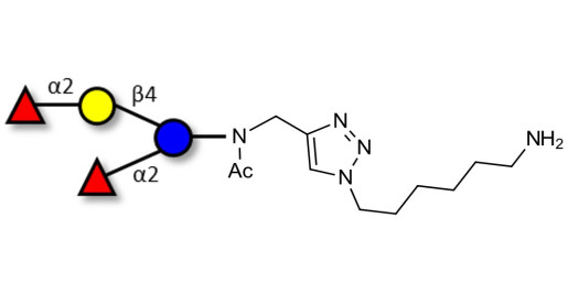 2',2-Difucosyllactose with free terminal amine (Linker-NH2 D) - 2',2-DFL