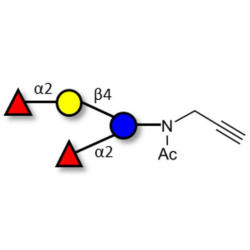 2',2-Difucosyllactose with terminal alkyne (Linker-CΞCH A)
